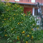 Anny Appartamento *