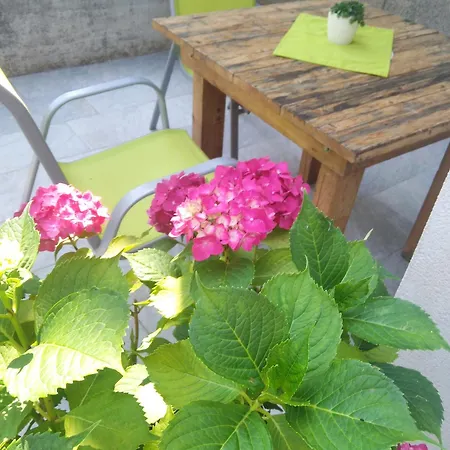Appartement Anny
