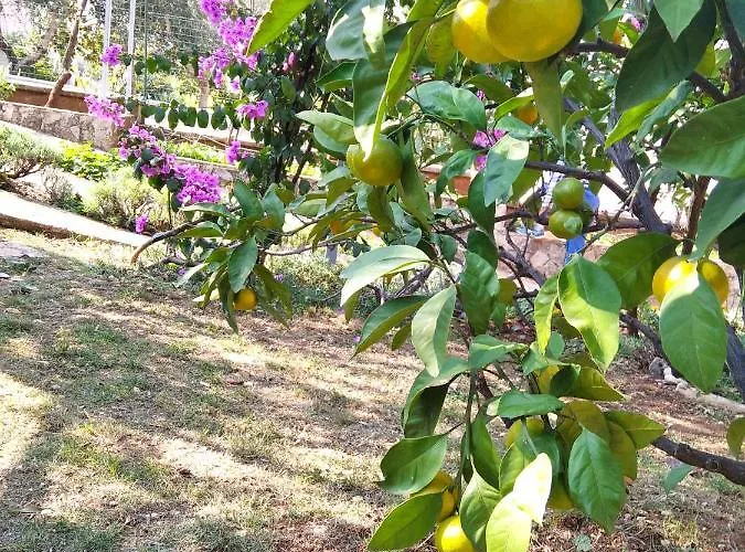 Апартаменти Anny Пула